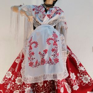 Delantales y Pañoletas